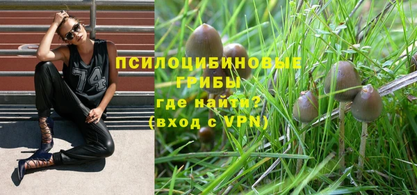 дживик Бронницы