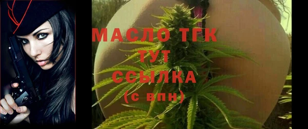 дживик Бронницы