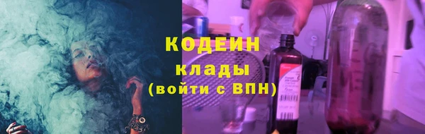 2c-b Бородино