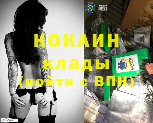 2c-b Бородино