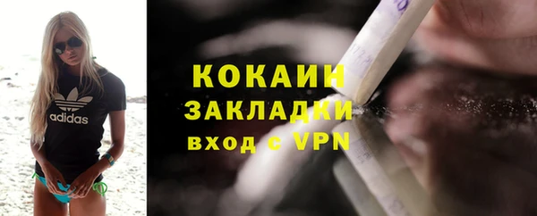 спиды Богородицк