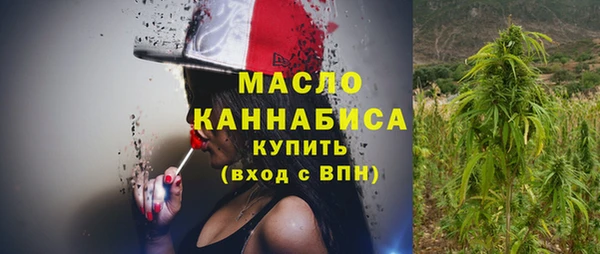 дживик Бронницы