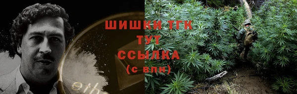 дживик Бронницы