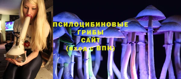 сатива Бугульма