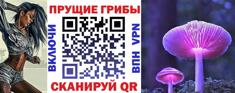 Галлюциногенные грибы GOLDEN TEACHER  купить наркотик  Барыш 